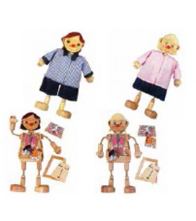 الأعضاء الداخلية للإنسان - الولد أو البنت