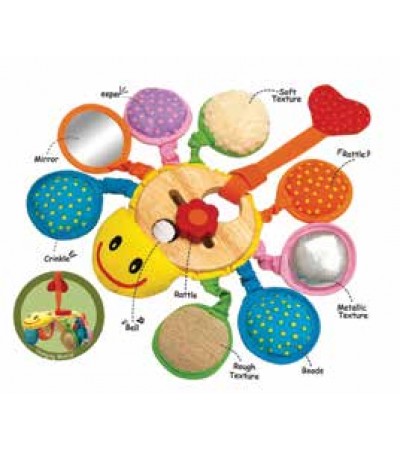 علاقة العنكبوت الرائعة