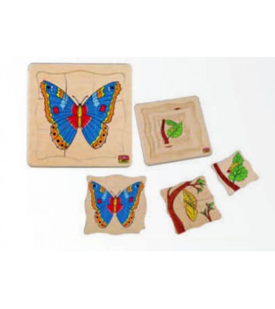 مراحل النمو - الفراشة