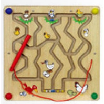 المتاهة المغناطسية - الطيور