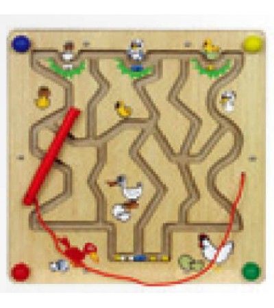 المتاهة المغناطسية - الطيور
